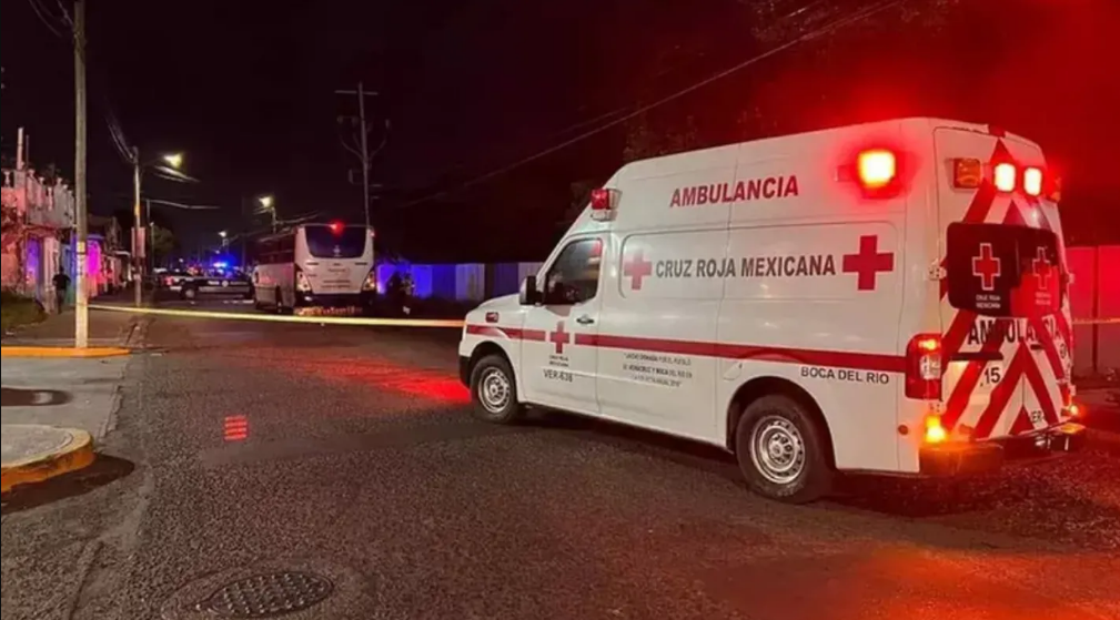 Niño de siete años murió al sacar la cabeza por la ventana de un autobús y chocar con un poste