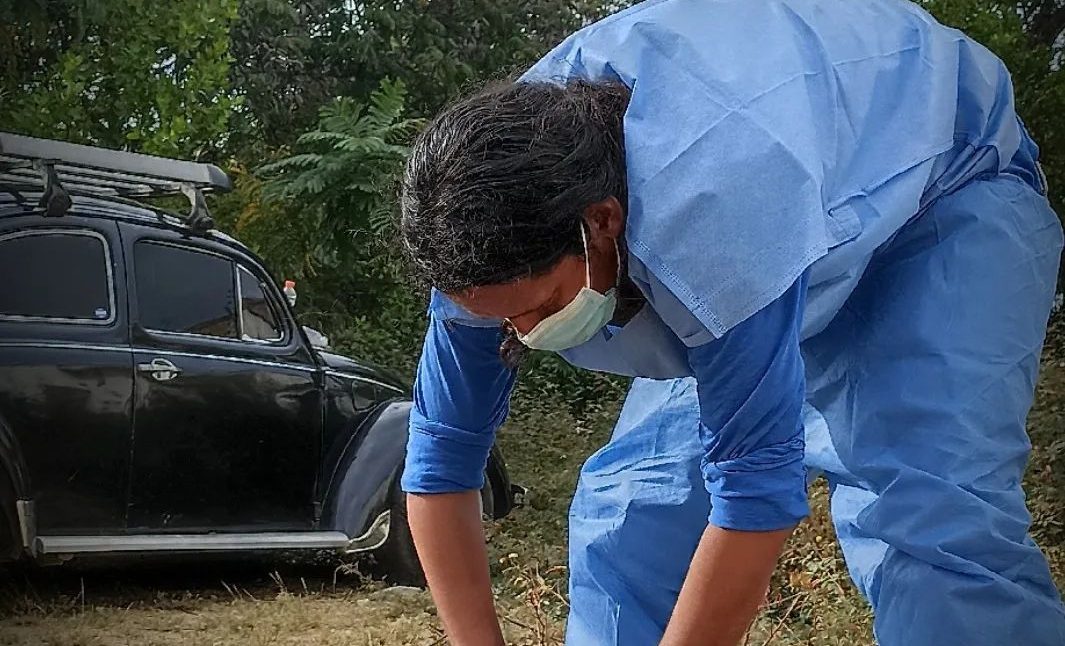 Identifican las causas de muerte de la tortuga marina hallada en Lechería