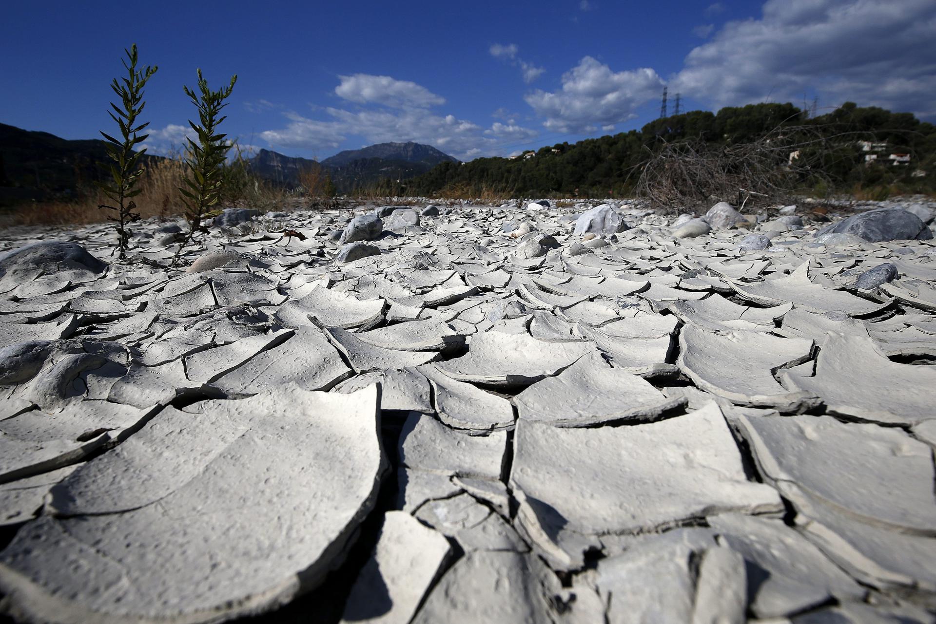 Calentamiento global sin freno: planeta Tierra batió récord de temperatura diaria