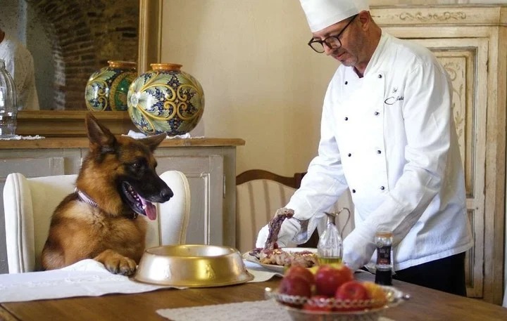 Vive en una mansión, tiene chef privado y viaja en limusina: la historia de Gunther, el perro más rico del mundo