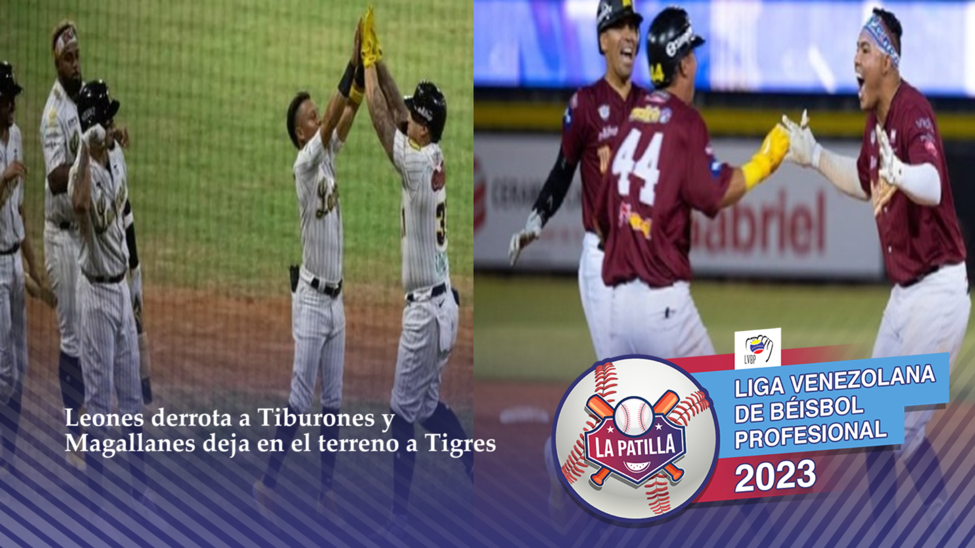 Leones se apodera del primer puesto del “todos contra todos” dejando a Tiburones y Magallanes igualados en el segundo lugar este #17Ene