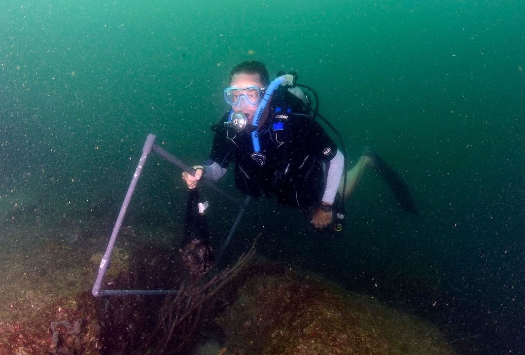 Unomia Stolonifera, un enemigo silencioso que amenaza con arrasar al ecosistema marino de Venezuela