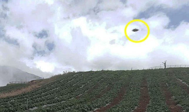 Platillo volador fue captado en una finca de Táchira (FOTO)