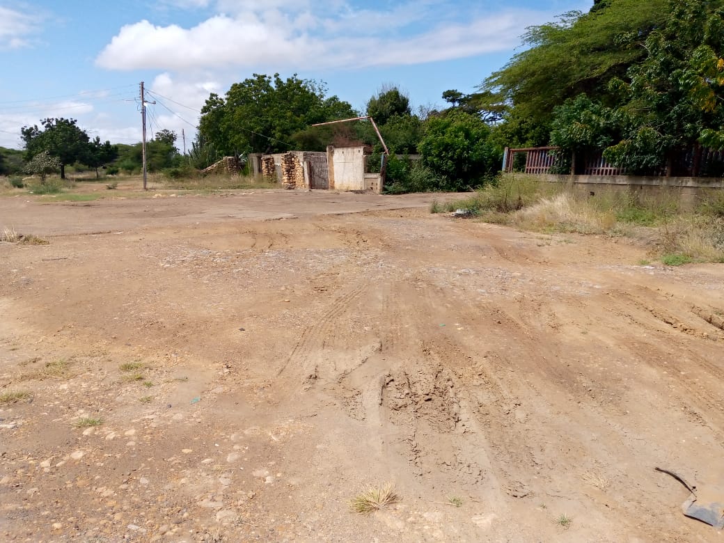 Los Olivos, plunged into misery being flooded by the Coro river and the false promises of chavismo