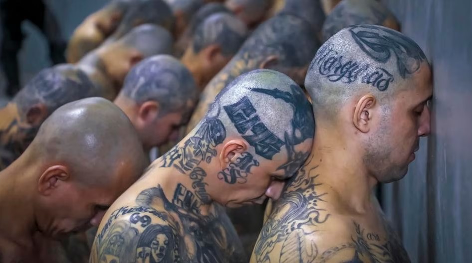 Qué se sabe del pacto de Bukele con la MS-13 para reducir los homicidios a cambio de beneficios, según EEUU