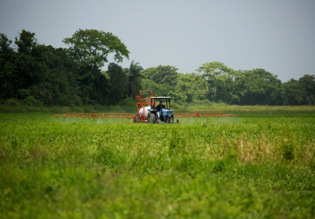 Tons of crops about to be lost due to lack of fuel in the Meridian páramo