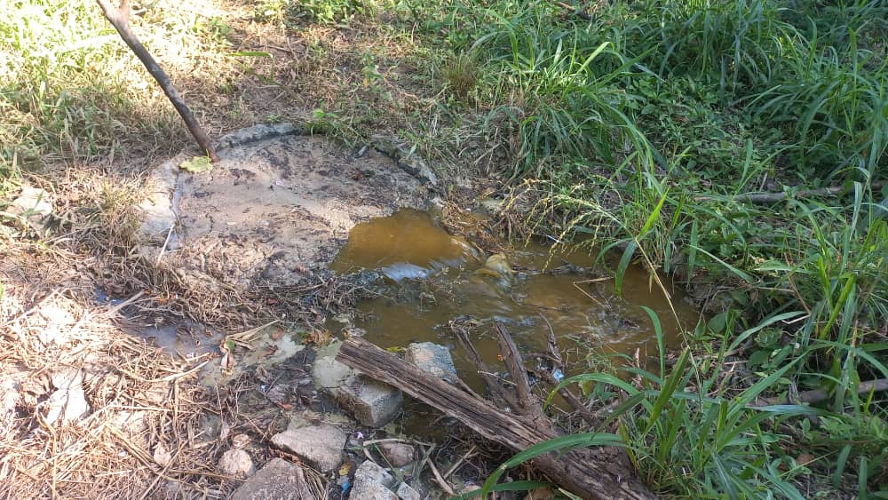 Entre aguas residuales habitan decenas de familias en Montalbán, Carabobo