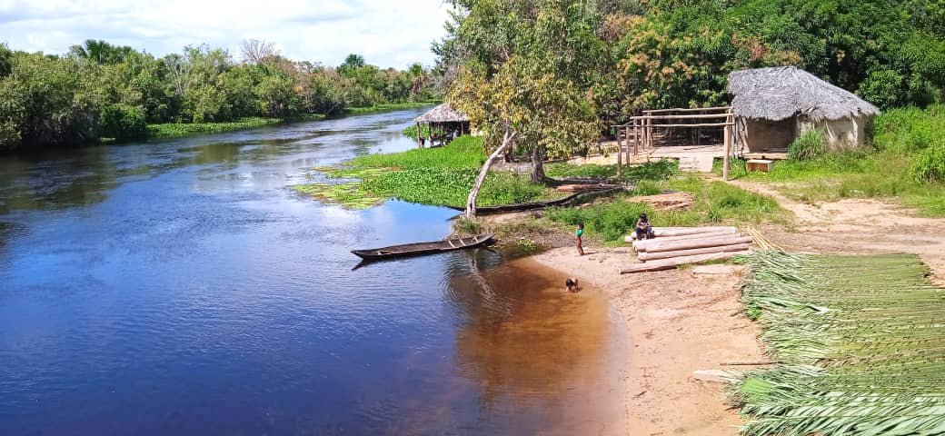 Reserva Forestal Guarapiche se debate la vida entre derrames petroleros y deforestación indiscriminada