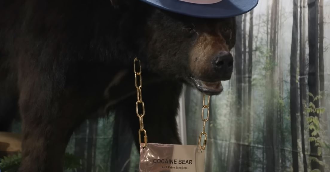 Pablo Escobar y el oso adicto a la cocaína: La víctima que pocos conocen (Video)