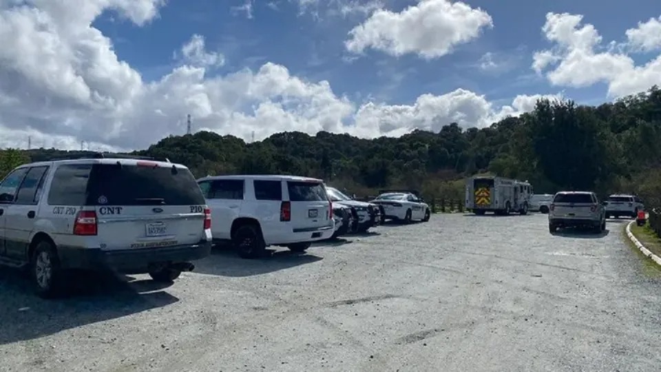 Tragedia en California: Madre murió al caerle un árbol encima mientras acompañaba a su hijo con los Boys Scouts