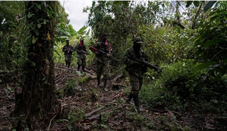 Exclusive-Colombian armed groups and gangs have 17,600 members, intelligence reports find