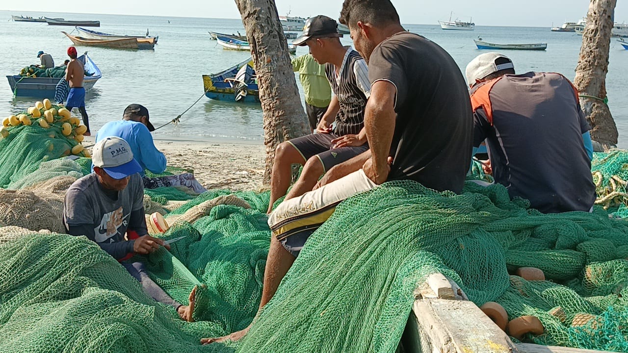 Bajo suministro de combustible complica extracción de sardinas en costas margariteñas