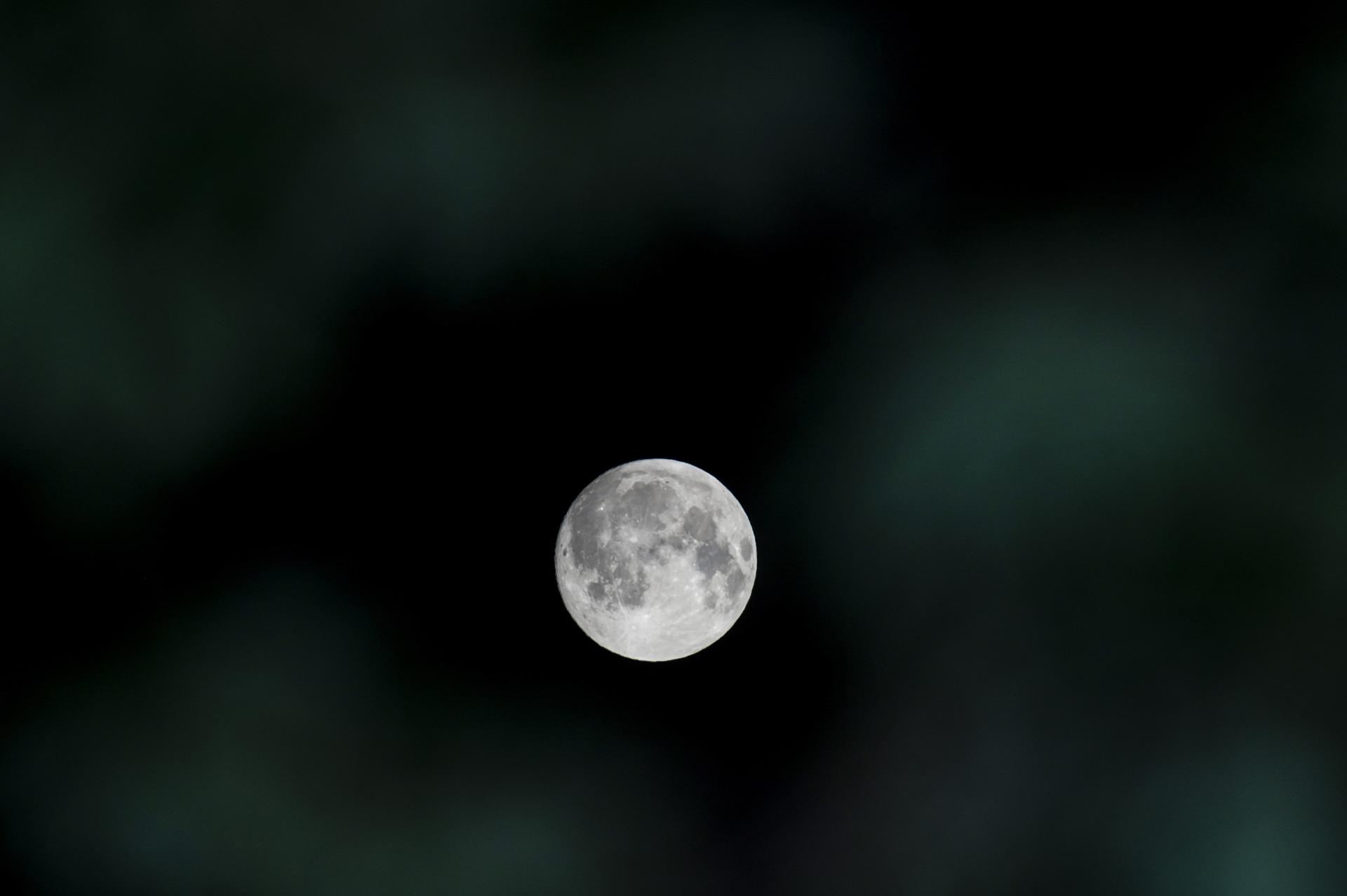 Luna llena de agosto: la primera superluna del año que se podrá admirar en el cielo