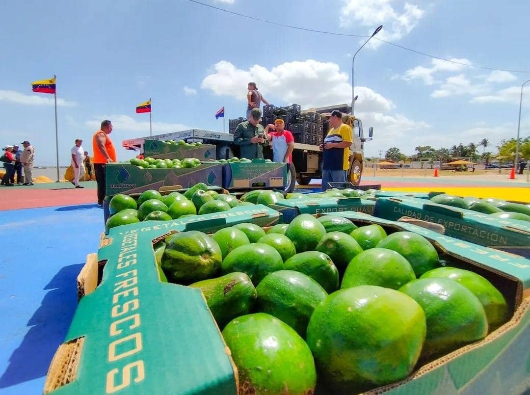 Embarcaciones Dexcymar y Viejo Nuno llegaron al mercado flotante de Punda en Curazao (Fotos)