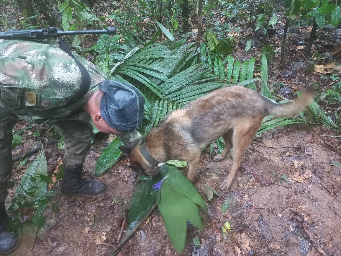 Expectativa por el rescate de los cuatro niños en Colombia: ¿Qué se sabe?