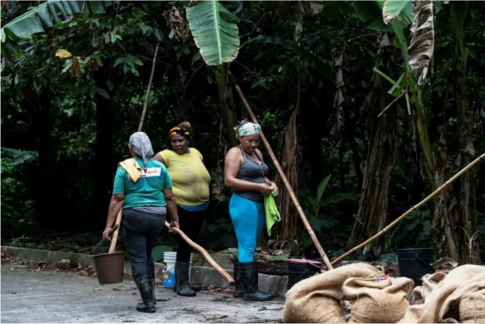 Venezuela town finds sweet success in artisanal chocolate