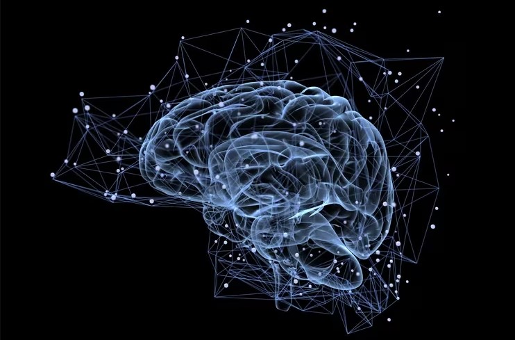 ¿Fin de la privacidad? Descodificador cerebral traduce el significado de la imaginación de una persona