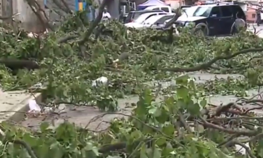 ¡De chiripa! La rápida reacción de un joven que casi muere aplastado por un árbol en El Valle (VIDEO)