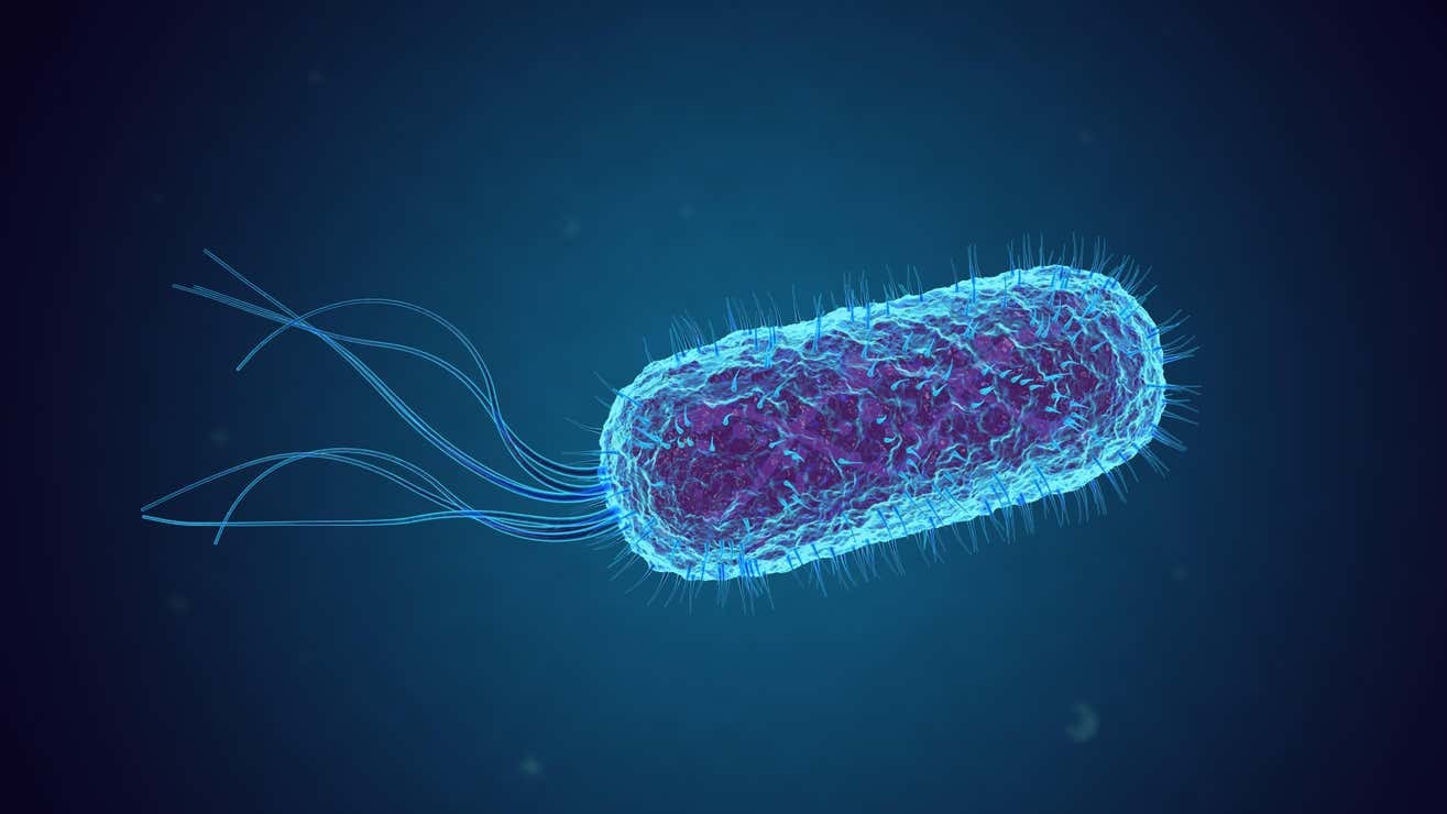 Una bacteria editada genéticamente es la última esperanza contra el cáncer