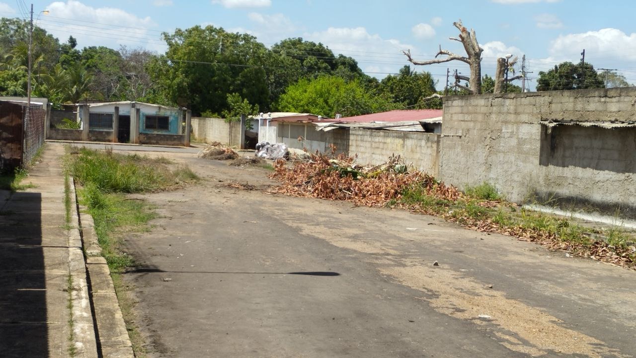 Alguien que le eche una “ayudadita” a la gente de Santa Bárbara de Monagas con la basura (por favor)