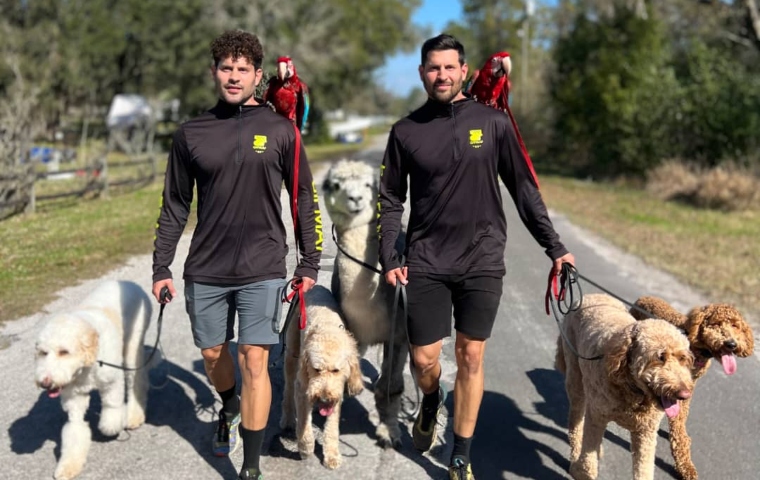 Los famosos los prefieren: GIFMAF, se posicionan como entrenadores de mascotas