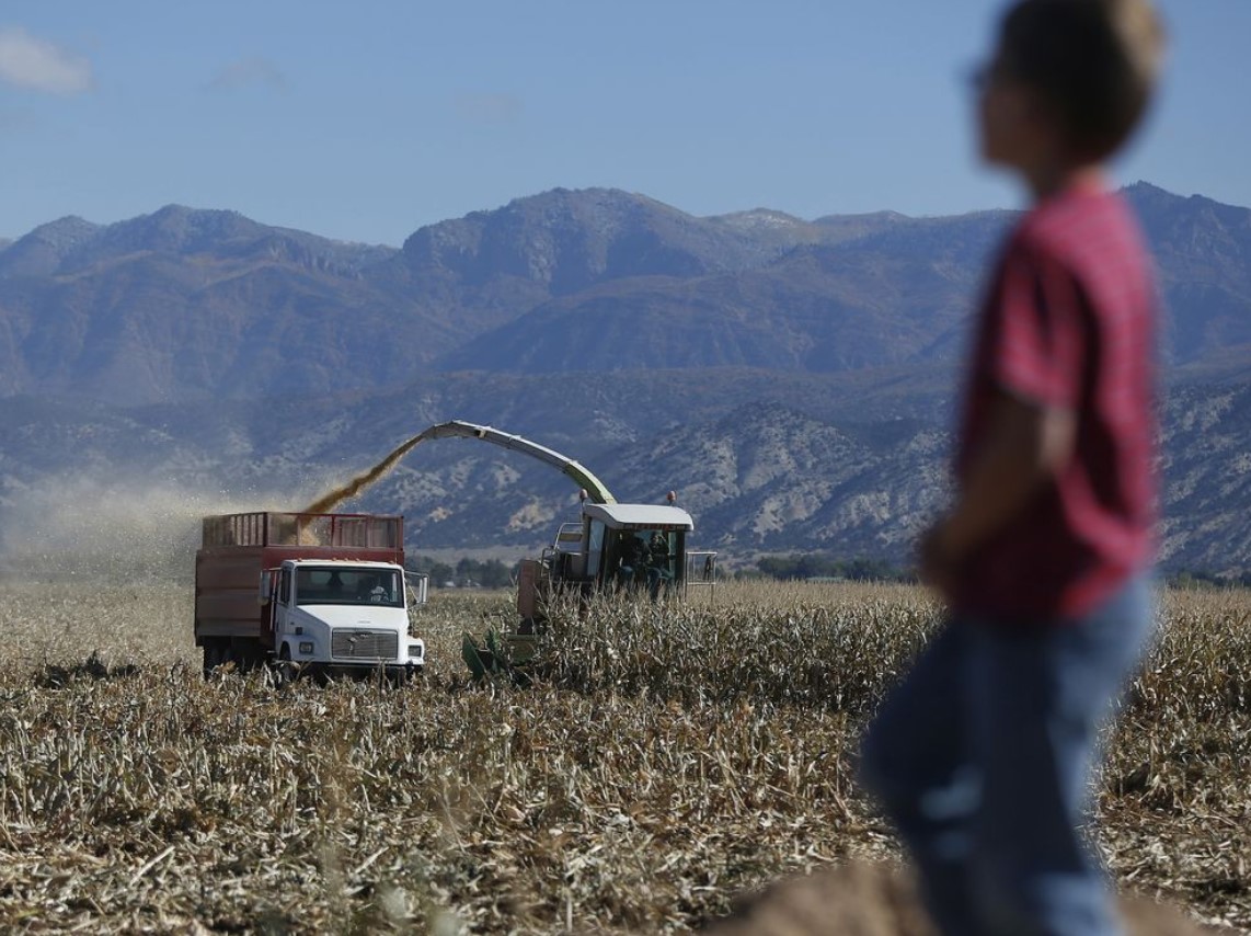 Legisladores estatales de EEUU quieren que los menores cubran empleos vacantes (Video)