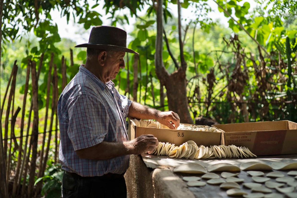 A gluten-free food makes a comeback in Cuba — and seeks world recognition