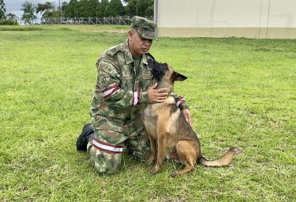 No aparece Wilson, perro cuyas huellas permitieron hallar a niños en selva del Guaviare