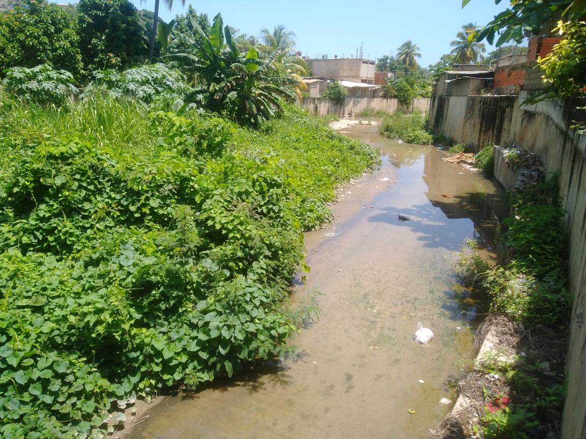 Familias de Guanta viven atemorizadas porque la quebrada “La Culebra” sigue “full de monte”