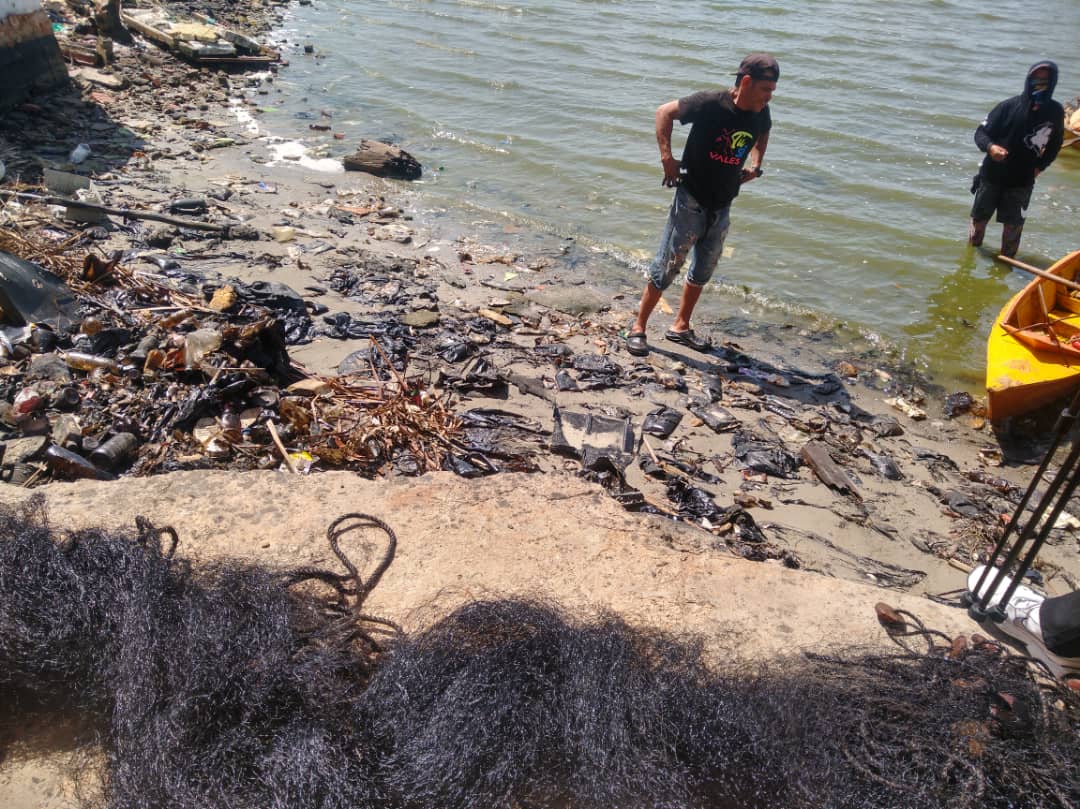 El Lago de Maracaibo se tiñe de verde mientras turismo y comercio se desvanecen