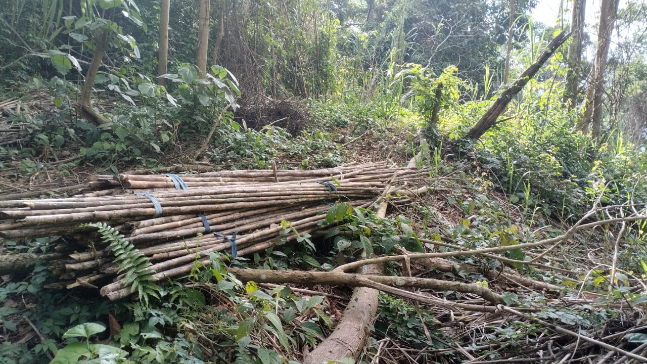 Invaden finca en Táchira bajo autorización del chavismo: propietarios temen por sus vidas (Video)