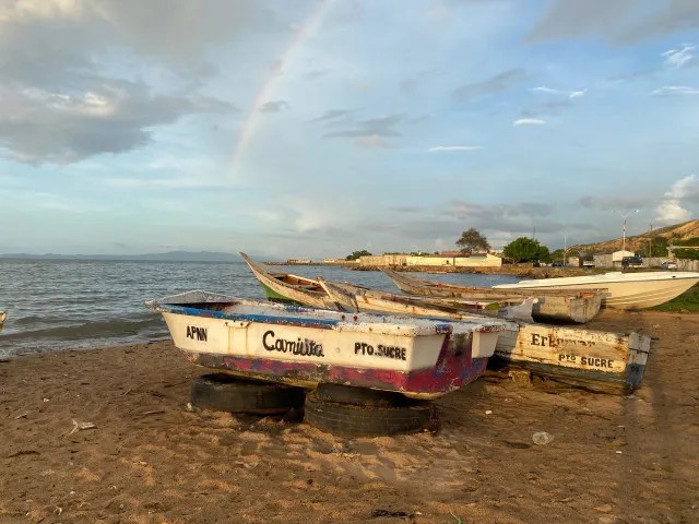 The obscure facts behind sardine fishing in Venezuela