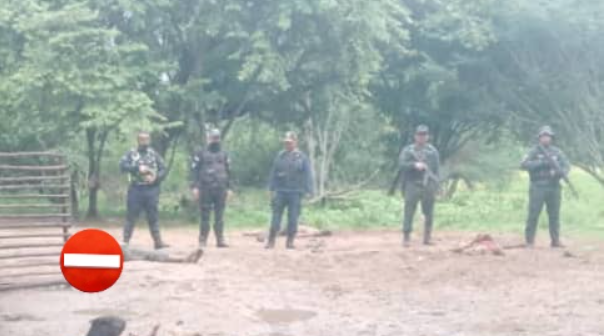 Masacre en Guárico dejó cuatro cadáveres maniatados y desfigurados por las balas