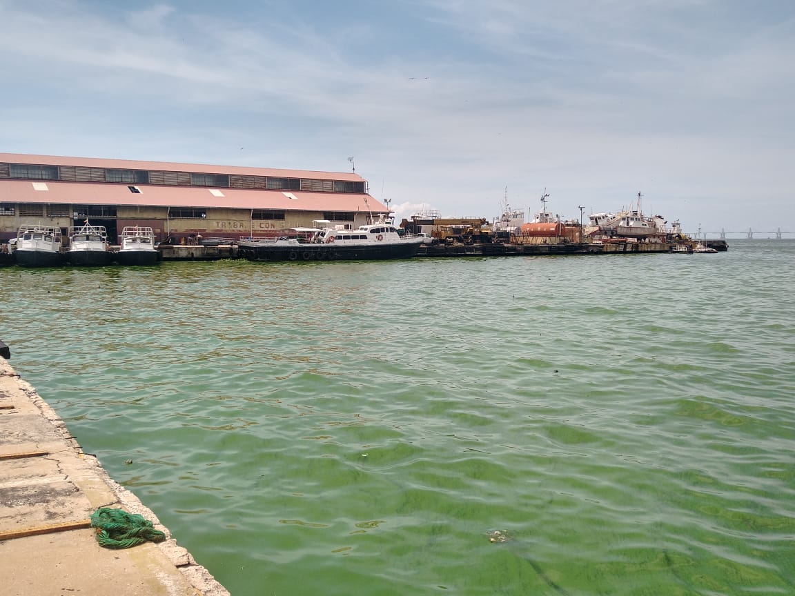 Alcalde de Maracaibo anuncia acciones coordinadas con el chavismo para salvar el Lago de la contaminación