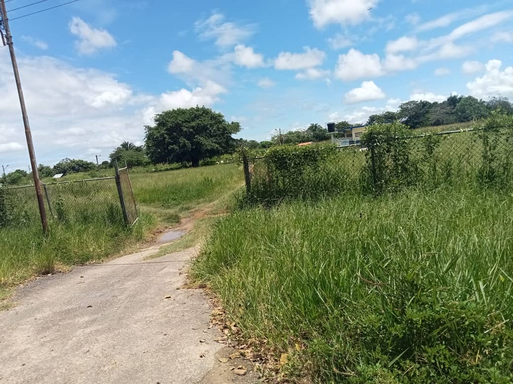 Apure: lápidas desaparecen en el cementerio de Guachivá entre tanto “monte y culebras”