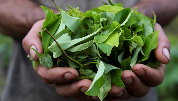 Lo detuvieron por darle hojas de coca a sus alumnos menores de edad