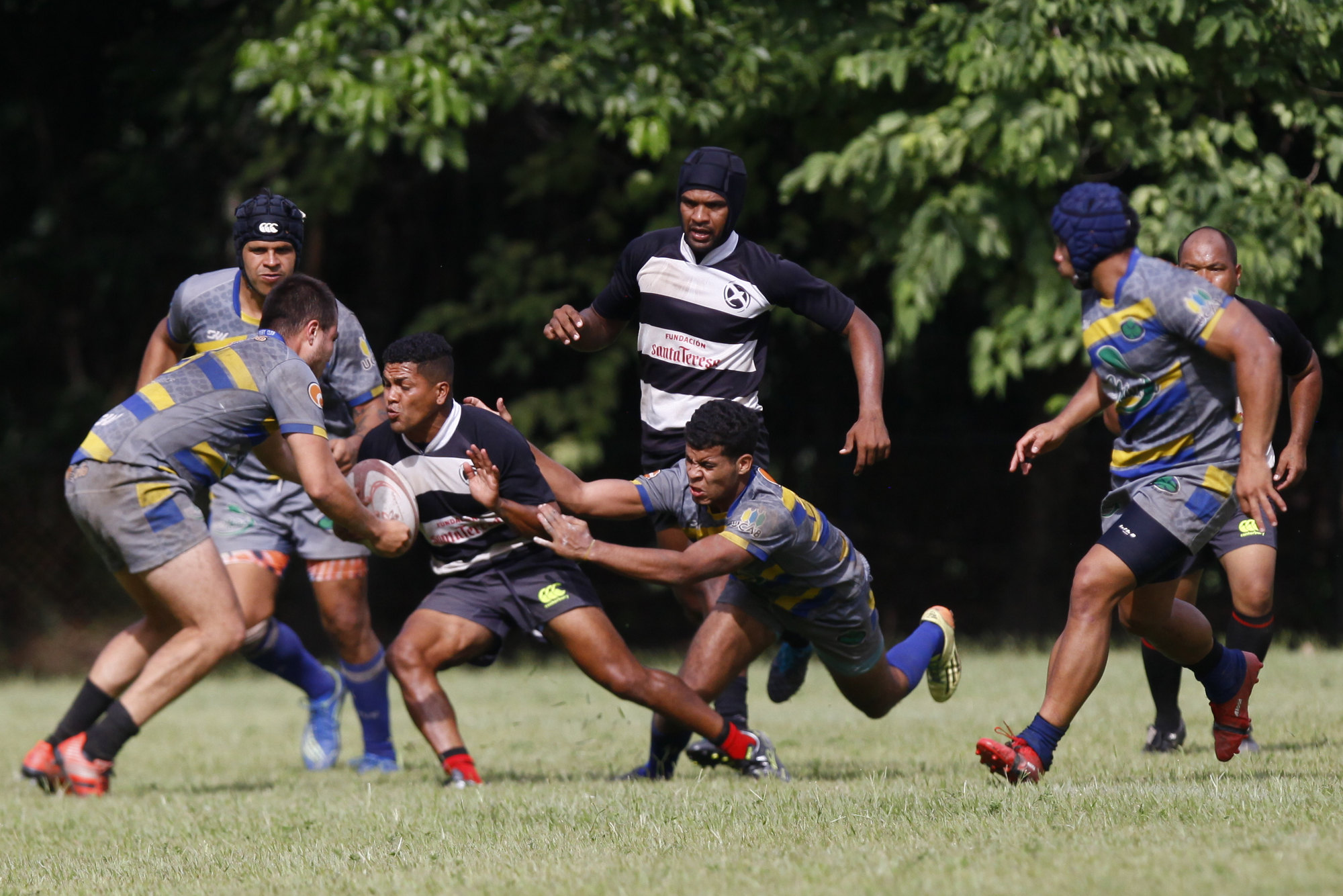 Por séptimo año consecutivo: Alcatraz Rugby se posiciona como campeón nacional