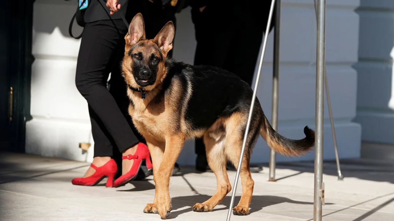 El perro de Biden se desató de nuevo y provocó otro altercado en la Casa Blanca