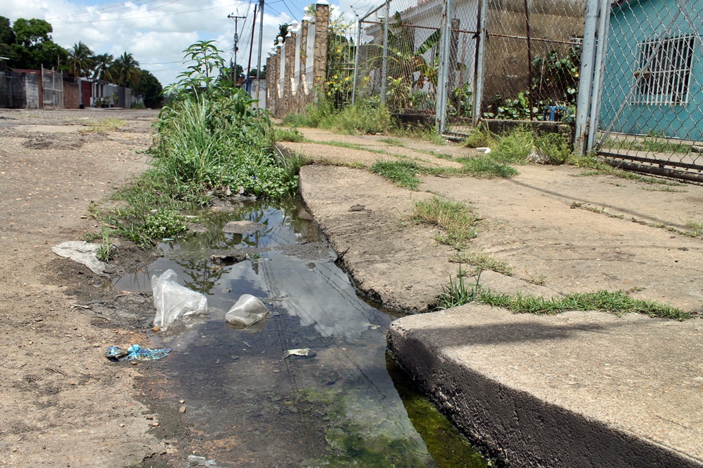 Exigen al chavismo fumigar en sectores de Maturín ante casos de dengue