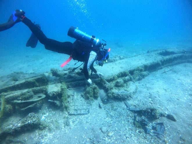 Miles de naufragios históricos en EEUU son amenazados por esta criatura invasora