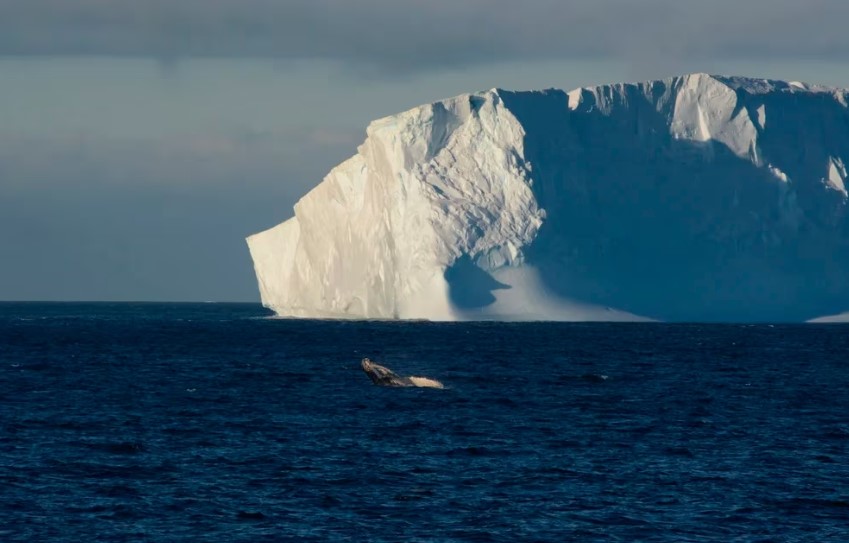 Qué pasaría en el planeta si las corrientes oceánicas del Atlántico colapsaran