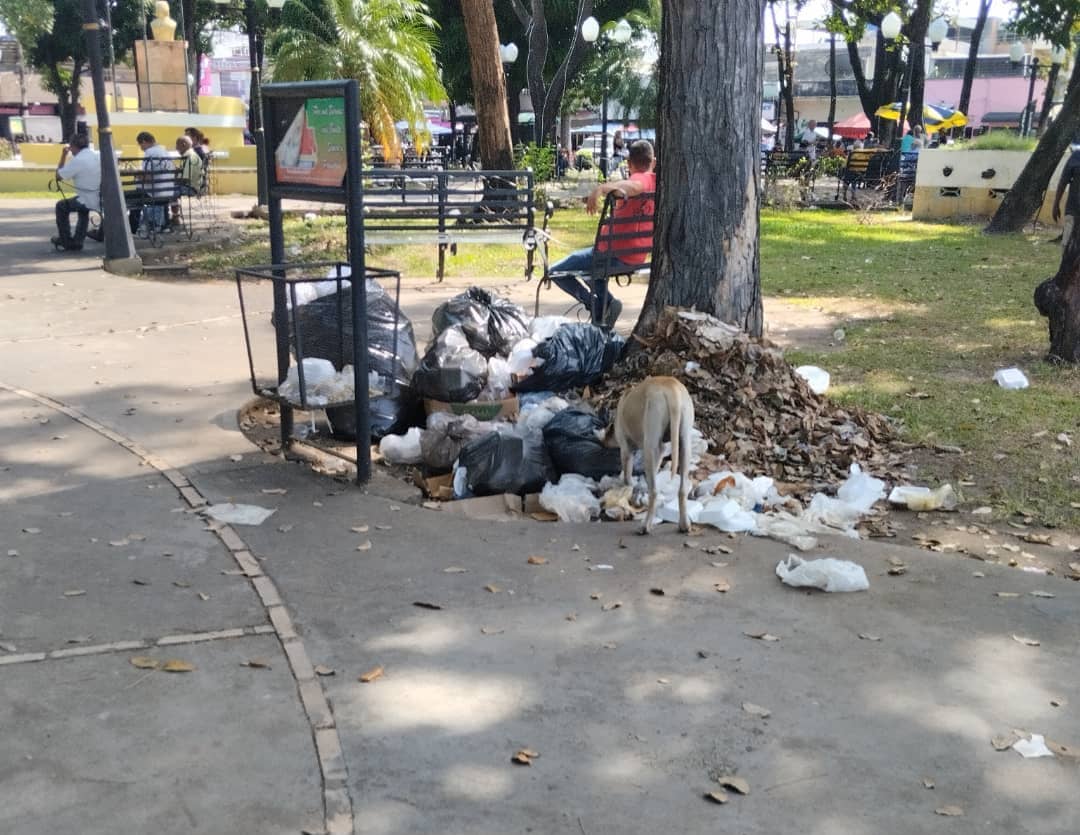 Montones de basura en vez de adornos navideños en la plaza del Estudiante de Barinas