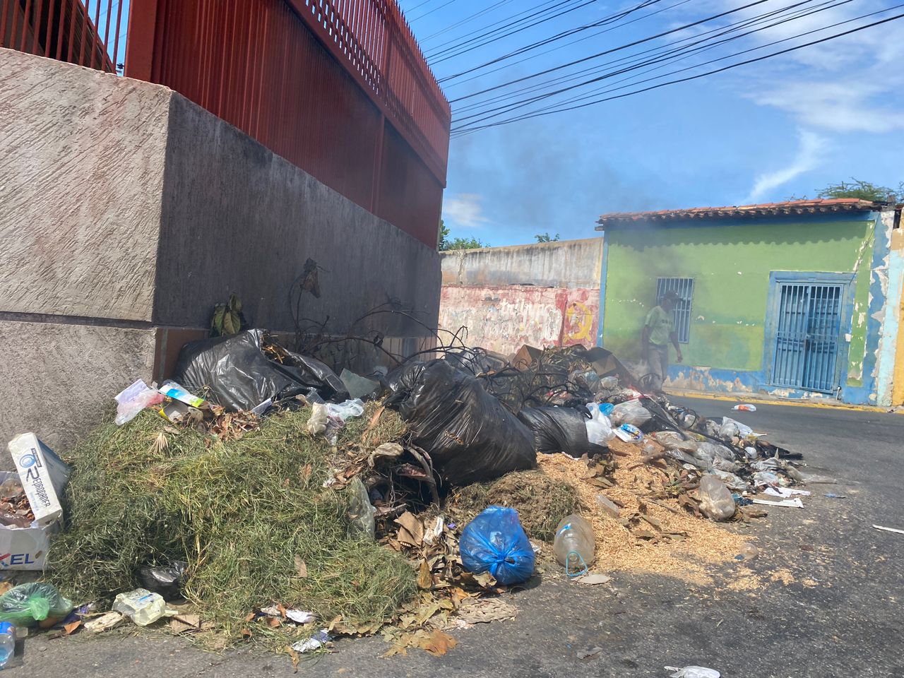 Cumaná convertida en criadero de zamuros que gozan un puyero con tanta basura