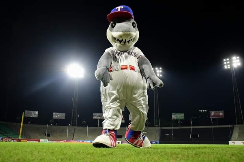 ¡Pa’ encima! El épico fail de la mascota de Tiburones de La Guaira con una fanática (VIDEO)