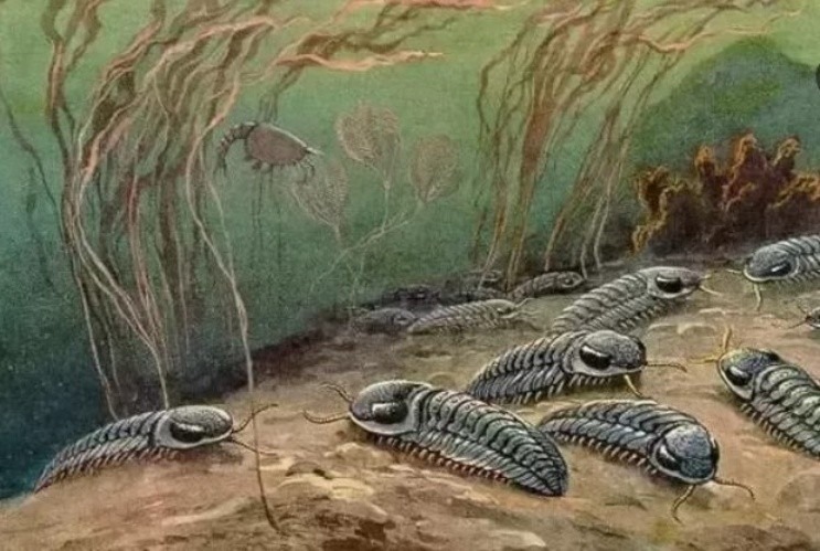 Descubren criaturas extintas tan antiguas que desafían todo lo que se conoce sobre evolución