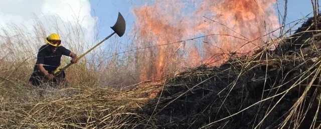 A “Large magnitude” forest fire razed 250 hectares of the Henri Pittier National Park in Aragua State