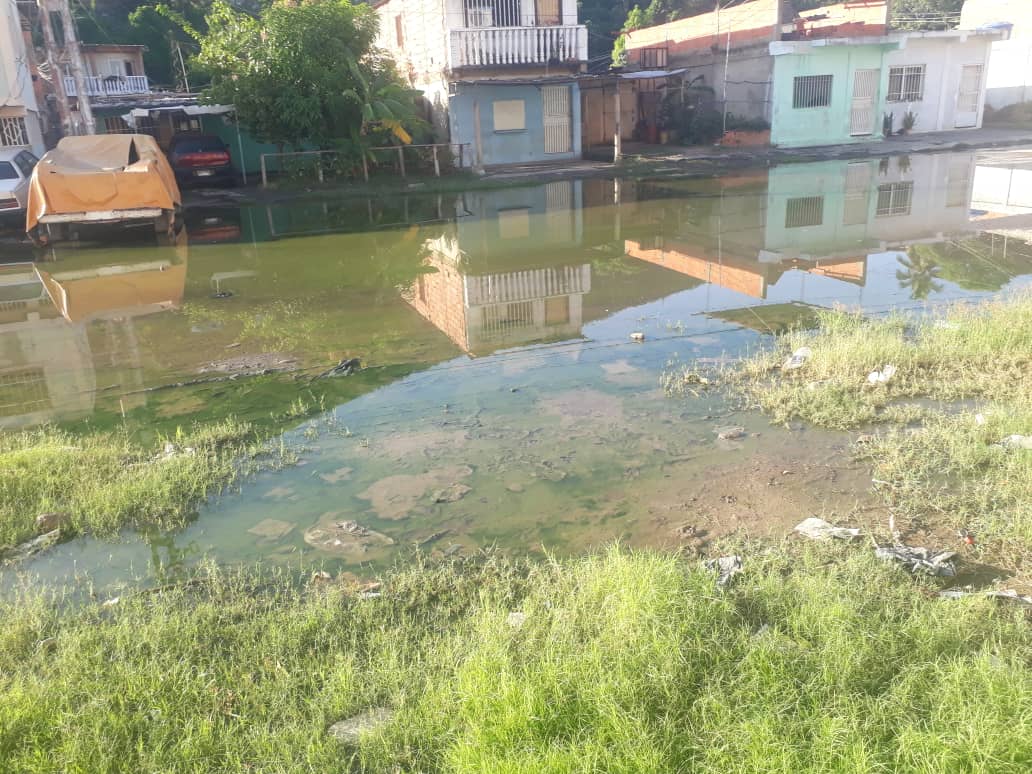 Emergencia sanitaria en Guanta: vecinos viven “ahogados” por colapso de cloacas y basura por todos lados