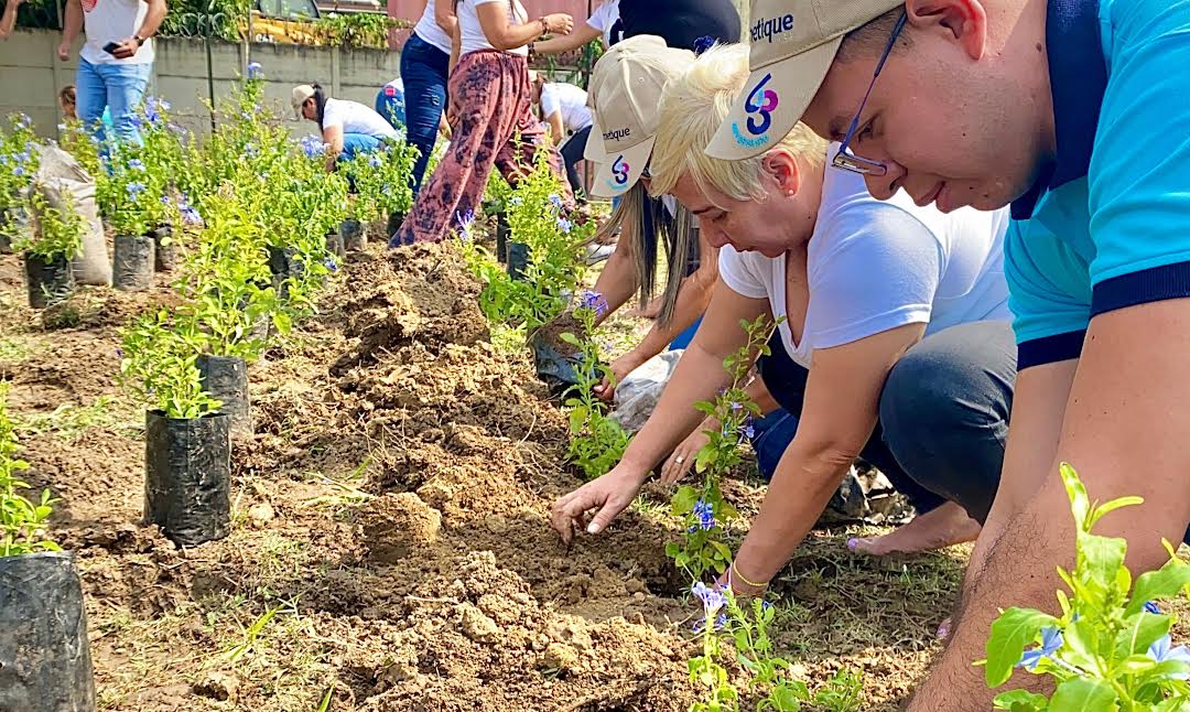 Realizarán siembra sostenible en la comunidad baruteña de San Luis