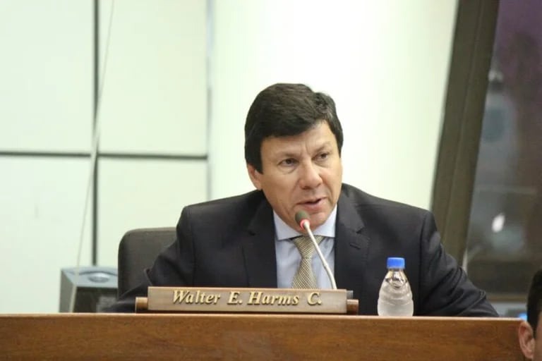 Avioneta donde murió diputado Paraguayo Walter Harms, salió de una pista no habilitada