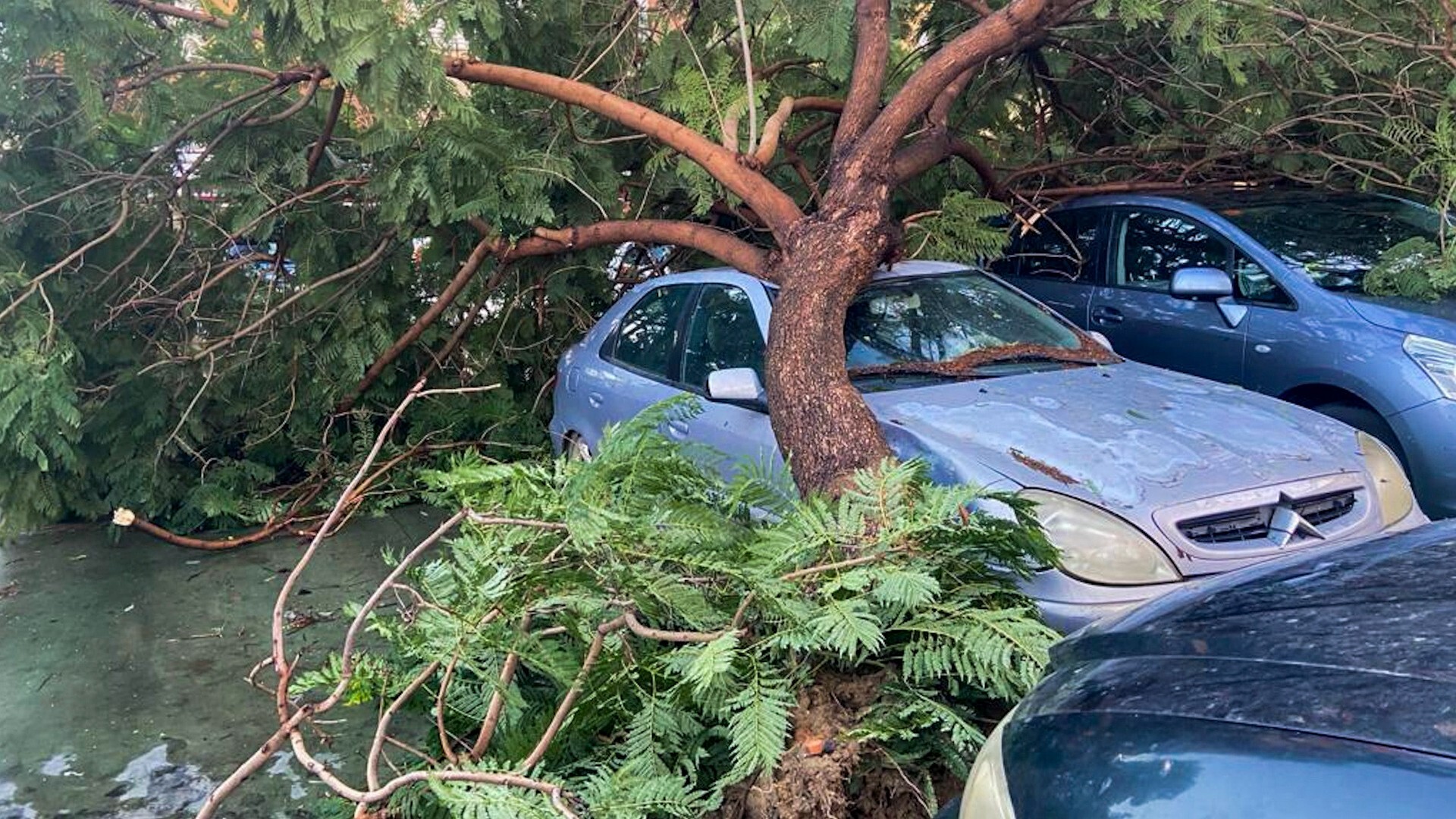 Primer temporal en Europa cobró la vida de un hombre en Inglaterra